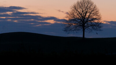 Alone