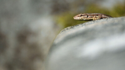 La roche, sa chaleur