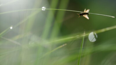 Equilibre entre eau et lumière