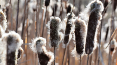 S'alléger dans le vent