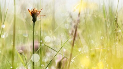 Eblouissement pour une fin