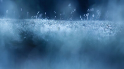 Lumières fraîches du matin