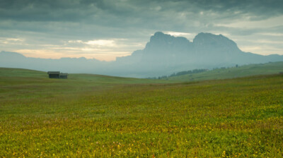 Infini d'une prairie