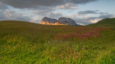 Par-delà la prairie