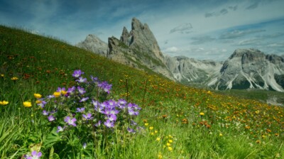 La prairie de la crête La prairie de la crête