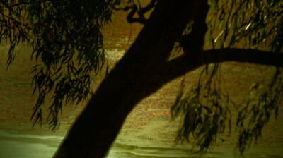 Lumière de fin du jour