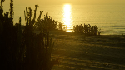Fin d'une journée sur la dune