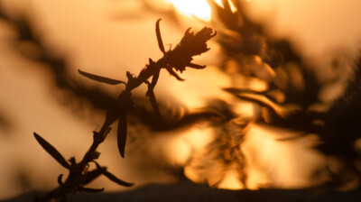 Contre-jour au couchant