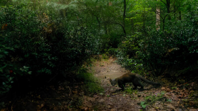 Sortie de jour pour une noctambule