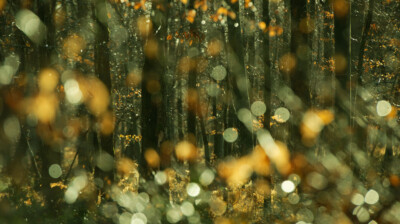 L'hiver et ses étincelles