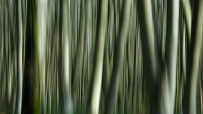 Visions troubles en hiver