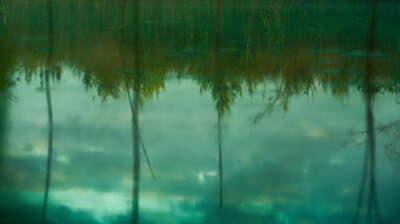 Reflets entre les roseaux