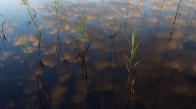 La tête dans les nuages