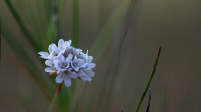 Se plaire les pieds dans le sable