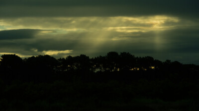 Ciel tourmenté sur la dune boisée
