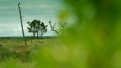 Morts en conquérants du marais