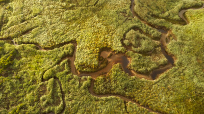 Méandres pour la marée haute