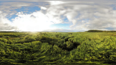 Panorama sur le marais