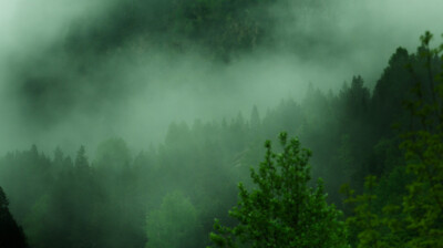 Le vallon au torrent