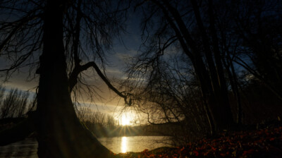 Les centenaires éblouis