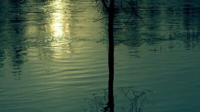Submersion