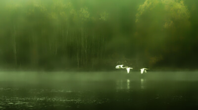 Dans la brume, le fleuve pour guide