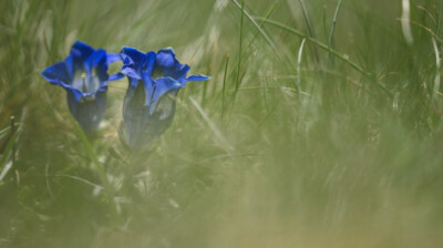 Le bleu du ciel en tube