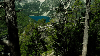 Un écrin au milieu des pins