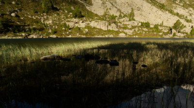 Fantaisies de la lumière