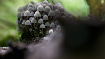 Pas plus d'une journée de vie pour la troupe