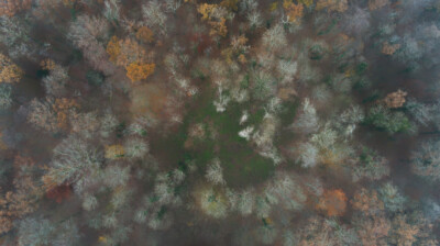 Vue d'automne sur une clairière